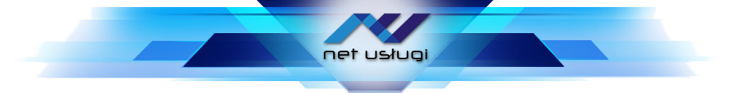 Net Usługi
